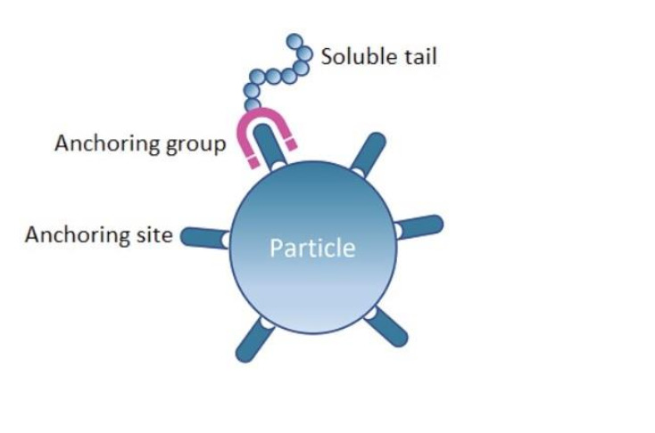 What is a Dispersant? How does it work?